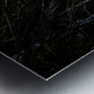 Great Prince of the Forest III Metal print