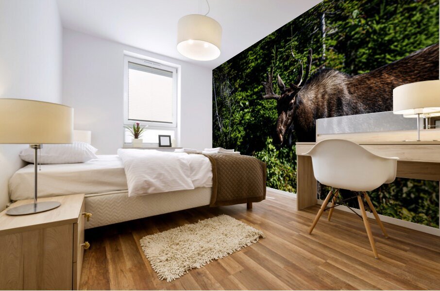 Bullwinkle I Mural print