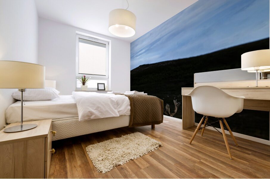 Southern Tundra Bull III Mural print