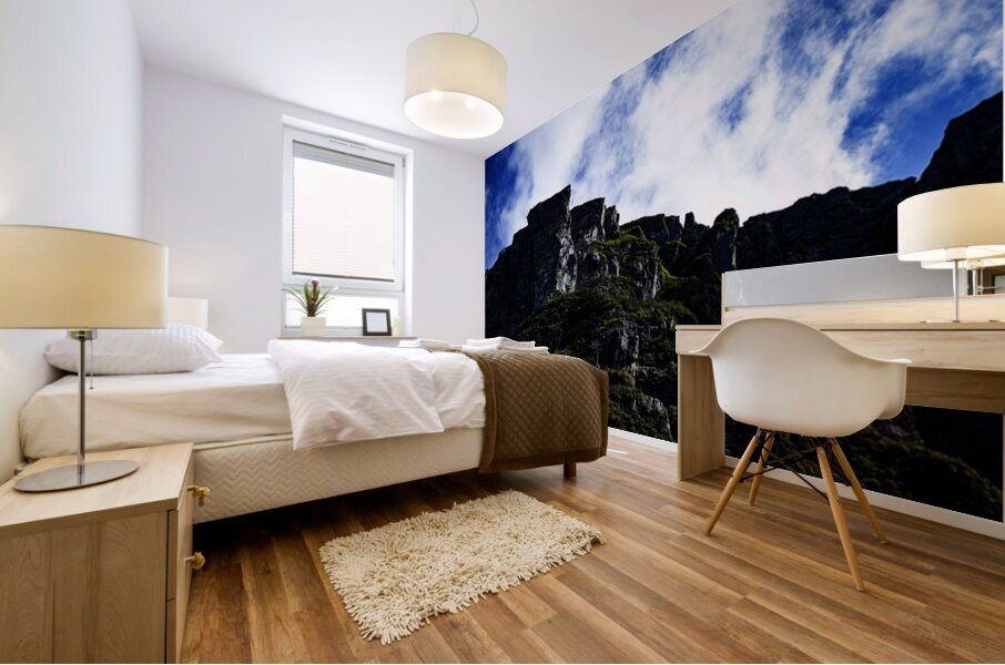 Pretty Cliff VII Mural print