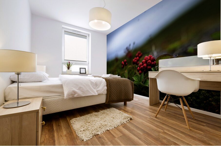 Creeping Dogwood Floor Mural print