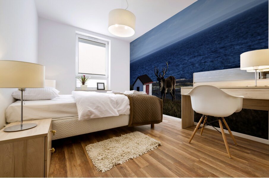 Southern Tundra Bull Mural print