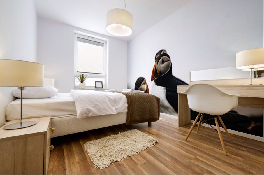 Chillin Puffin II Mural print