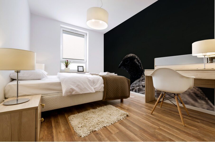 Beyond - a Valley Mural print