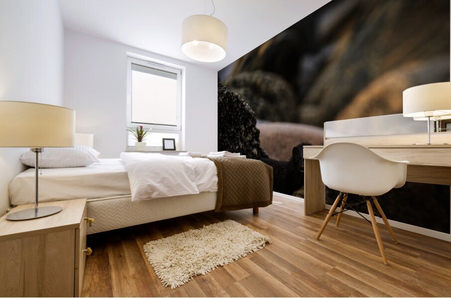 Mighty Mink I Mural print