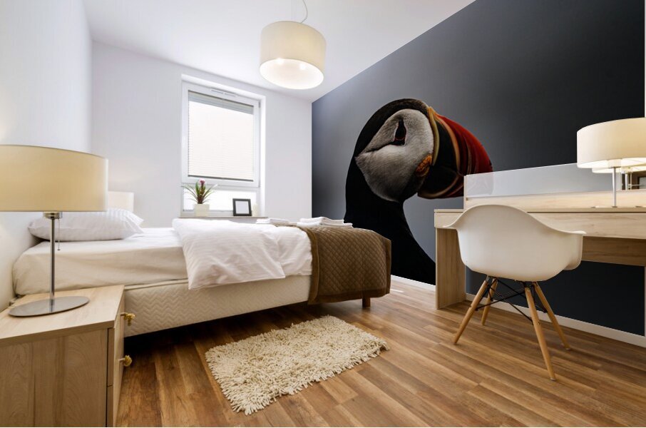 Sea Parrot Mural print