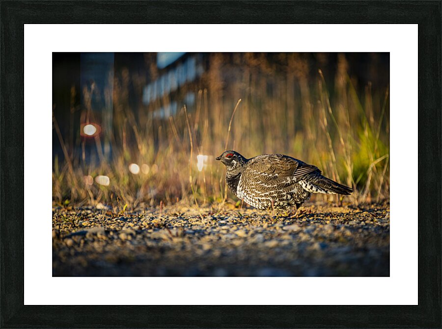 Un matin apres la chasse Picture Frame print