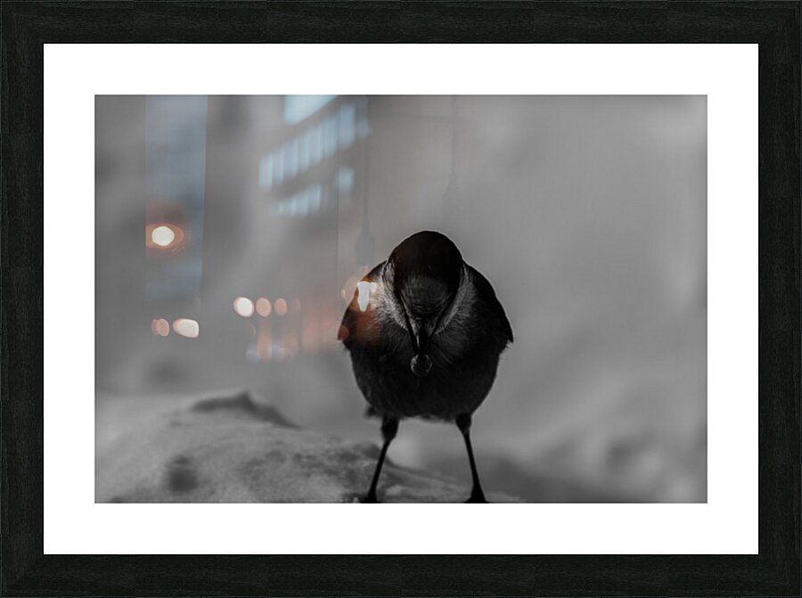 Pimbina Picture Frame print