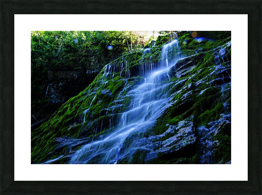 Les tropiques en Gaspesie Picture Frame print