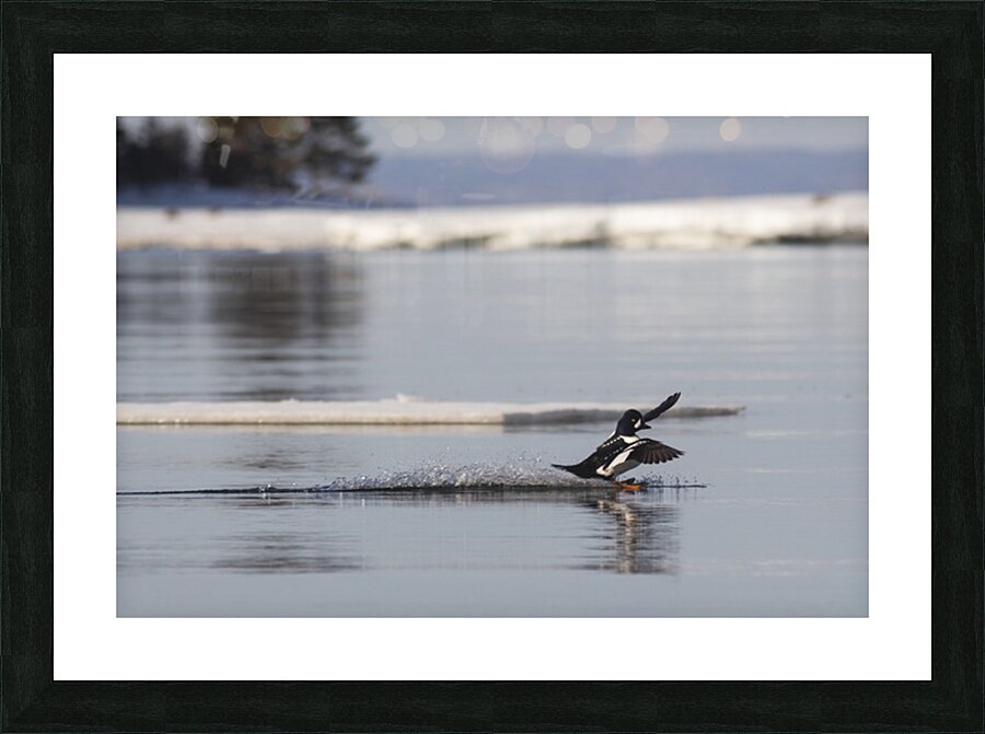 Surf mode Picture Frame print