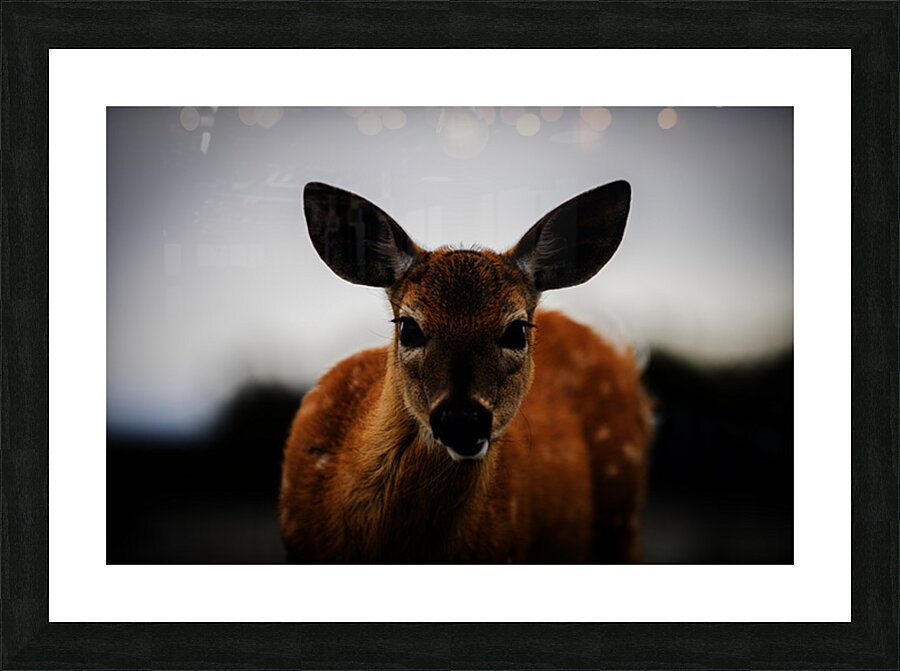 Bambi Picture Frame print