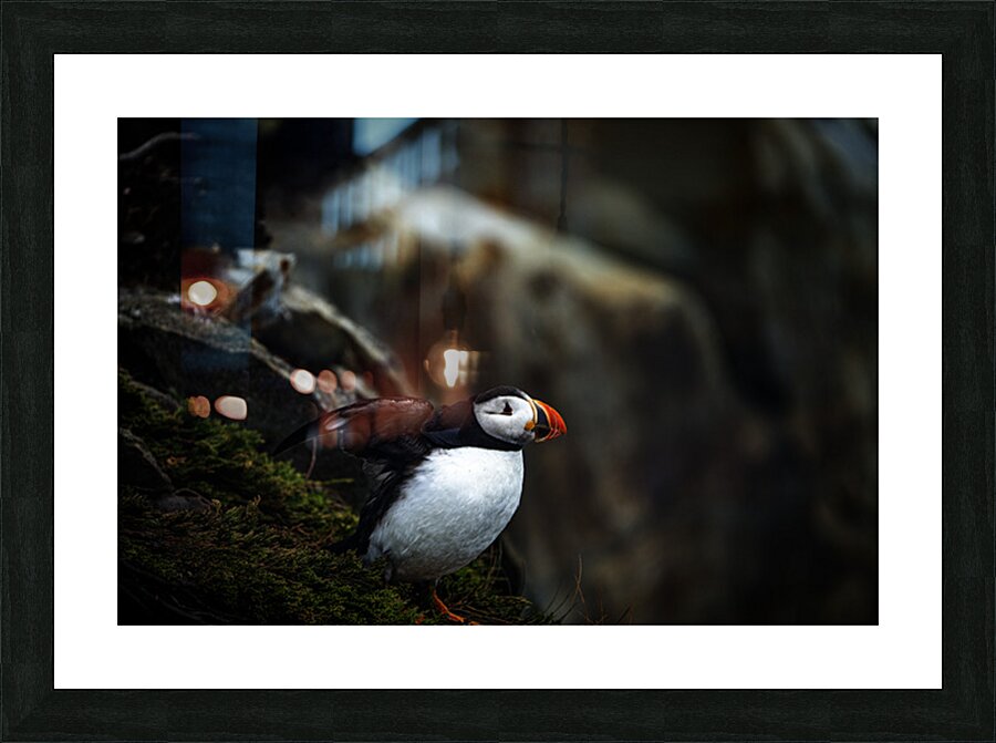 Shake the fog off Picture Frame print