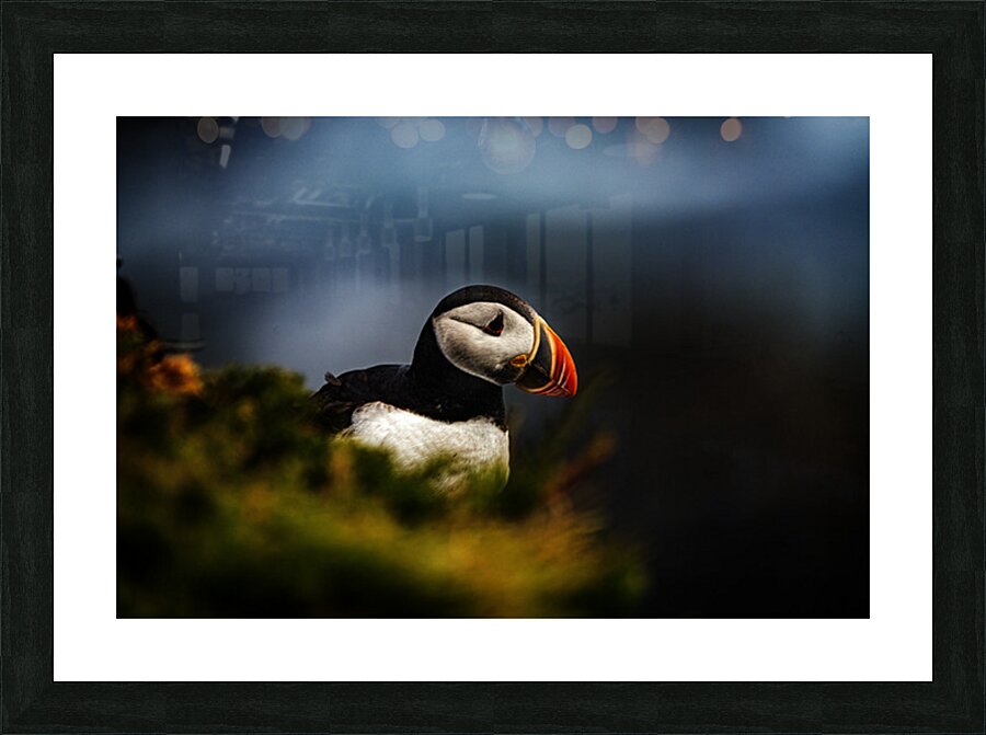 Colorful Picture Frame print