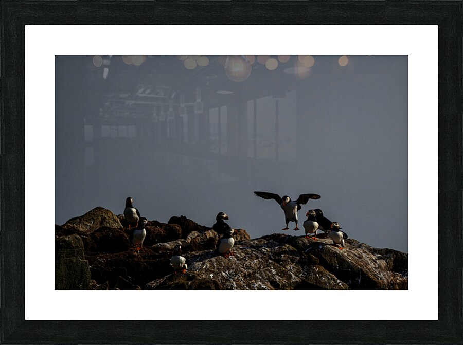 Bounce Picture Frame print