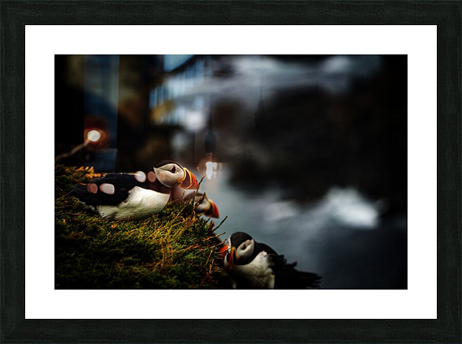 Curious Dude II Picture Frame print