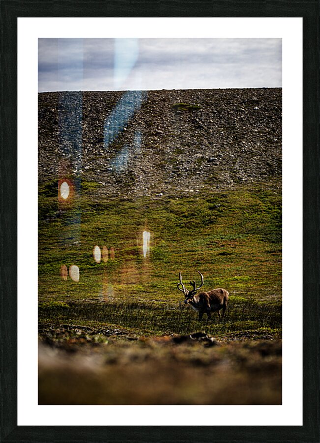 No Santa in Sight Picture Frame print