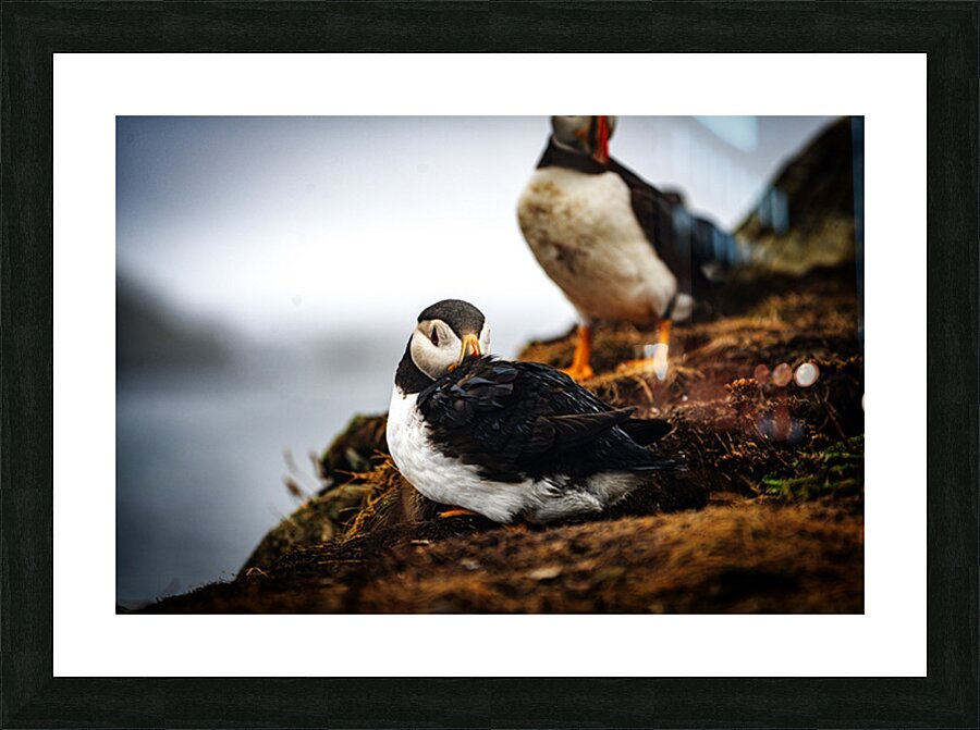 Just a little relaxation Picture Frame print