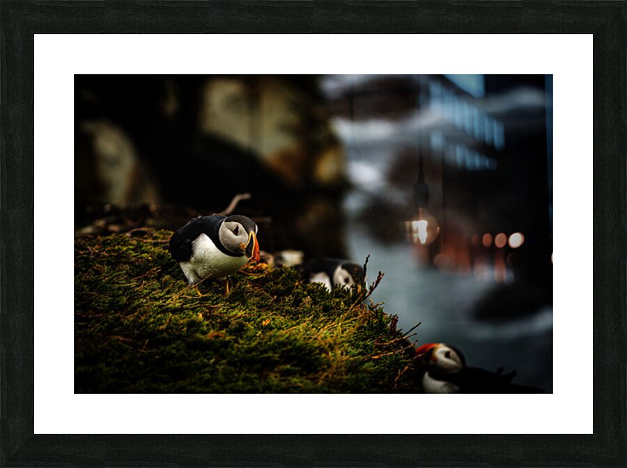 Curious Dude Picture Frame print