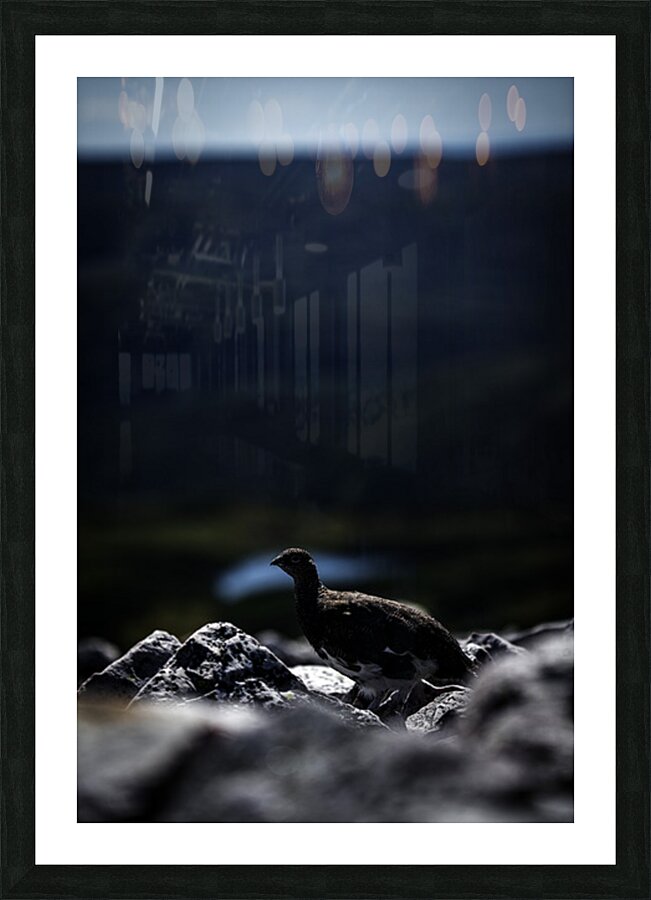 Beyond - a Valley III Picture Frame print