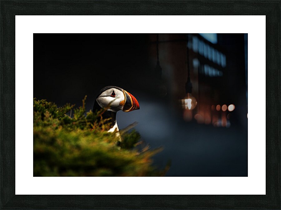 Almost Camo Picture Frame print