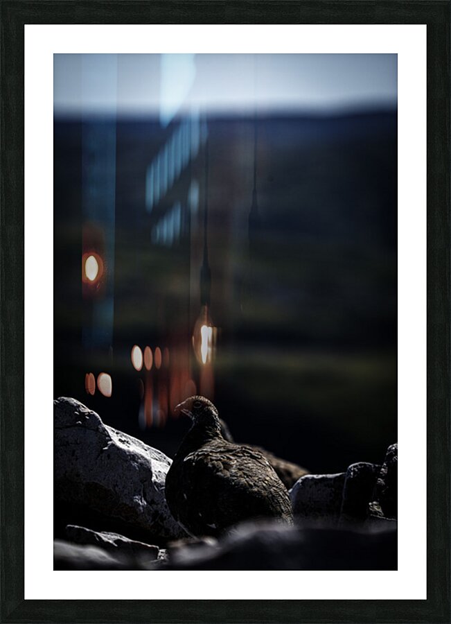 Beyond - a Valley II Picture Frame print