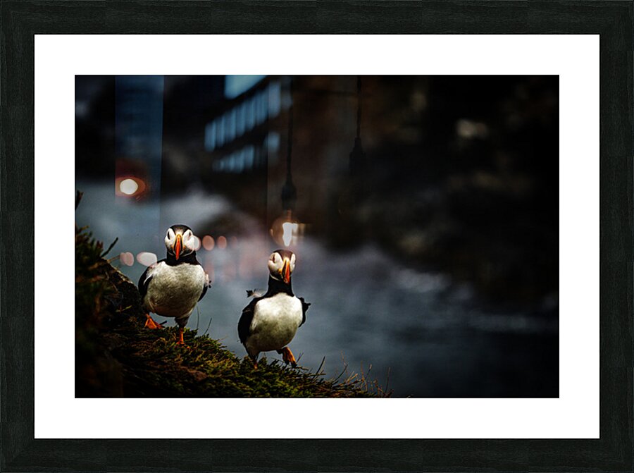 Rough Wind Rough Feather Picture Frame print