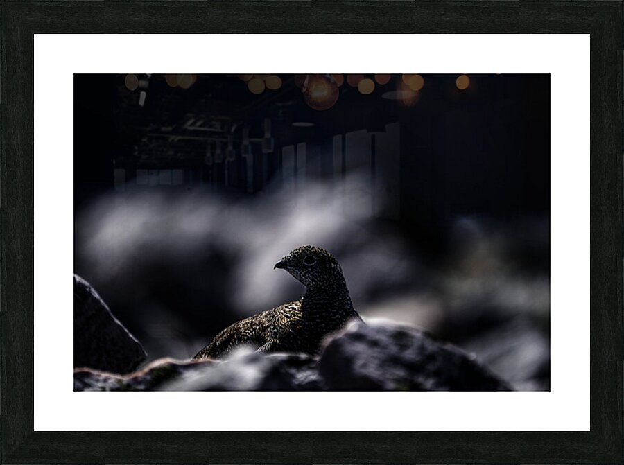 Hard as Rock II Picture Frame print