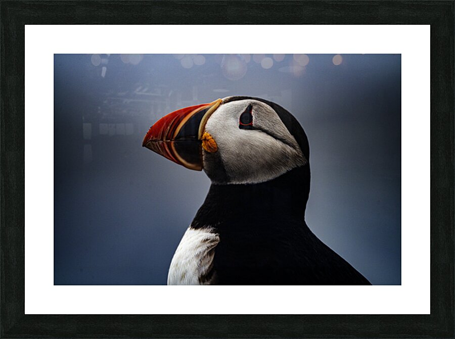 My best shot ever  Picture Frame print