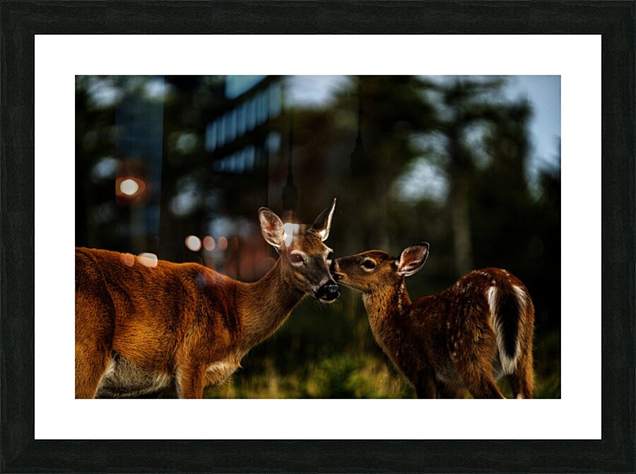 Mother Nature I Picture Frame print