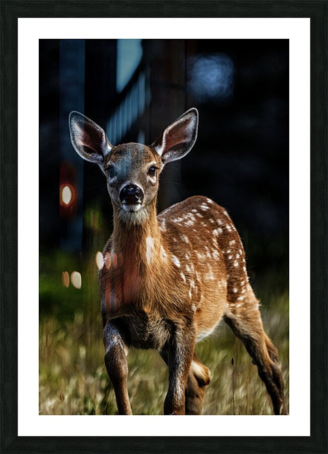 Eye for an eye III Picture Frame print