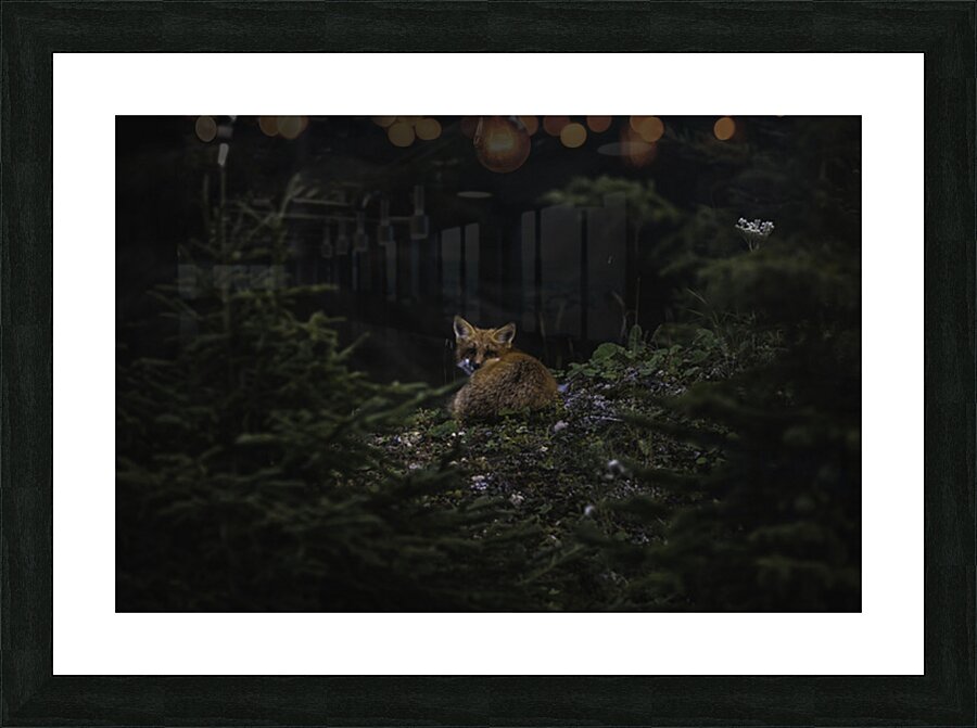 Un soir de septembre Picture Frame print