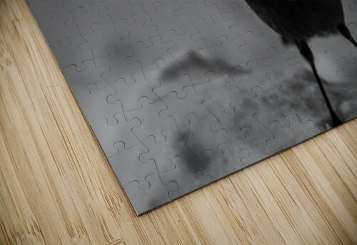 Pimbina Francois Lapointe puzzle