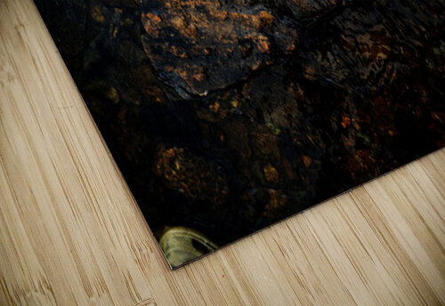 La grosse prise Francois Lapointe puzzle