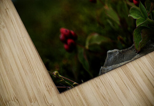 Creeping Dogwood Floor Francois Lapointe puzzle