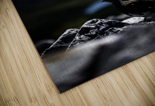 Beyond - a Valley III Francois Lapointe puzzle