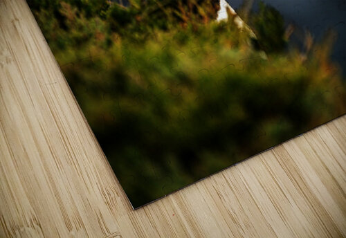 Almost Camo Francois Lapointe puzzle