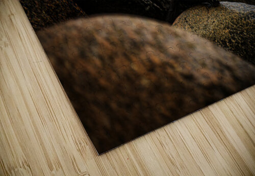 Mighty Mink II Francois Lapointe puzzle