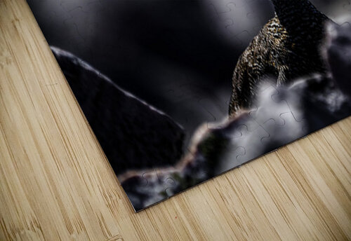 Hard as Rock II Francois Lapointe puzzle