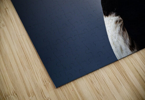 My best shot ever  Francois Lapointe puzzle