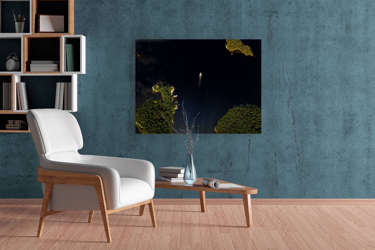 Les belles eaux noires Reproduction