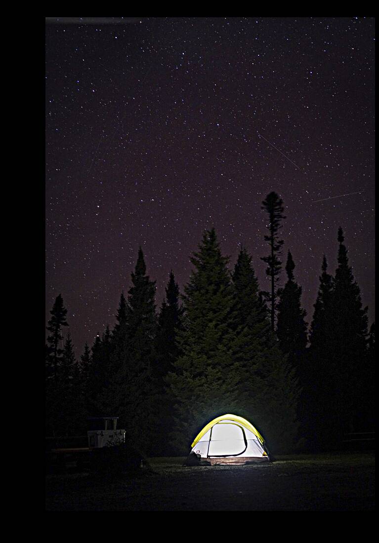 Entre deux chasses Reproduction