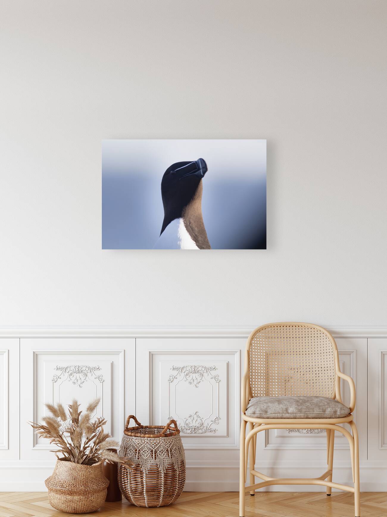 Bec de rasoir Reproduction