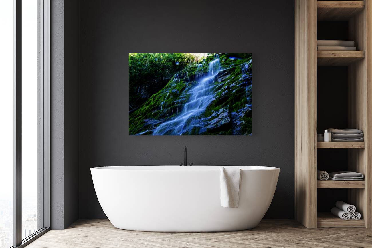 Les tropiques en Gaspesie Reproduction