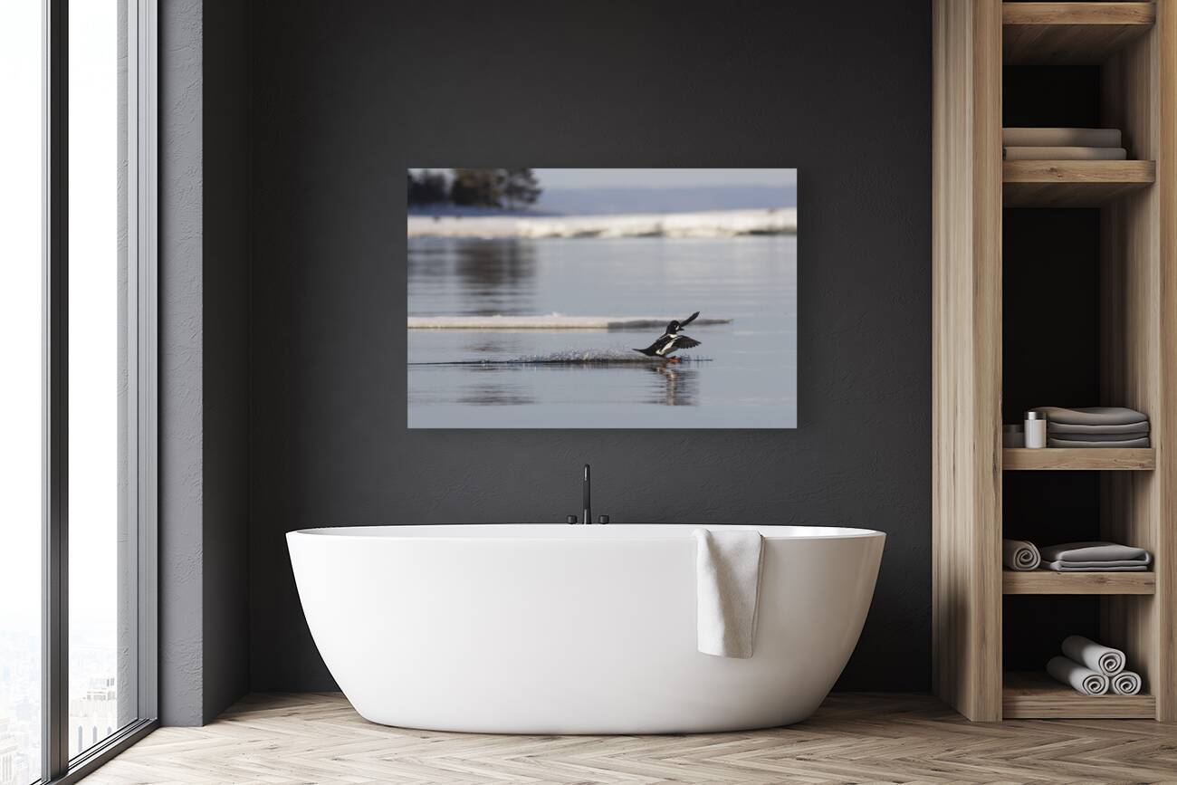 Surf mode Reproduction