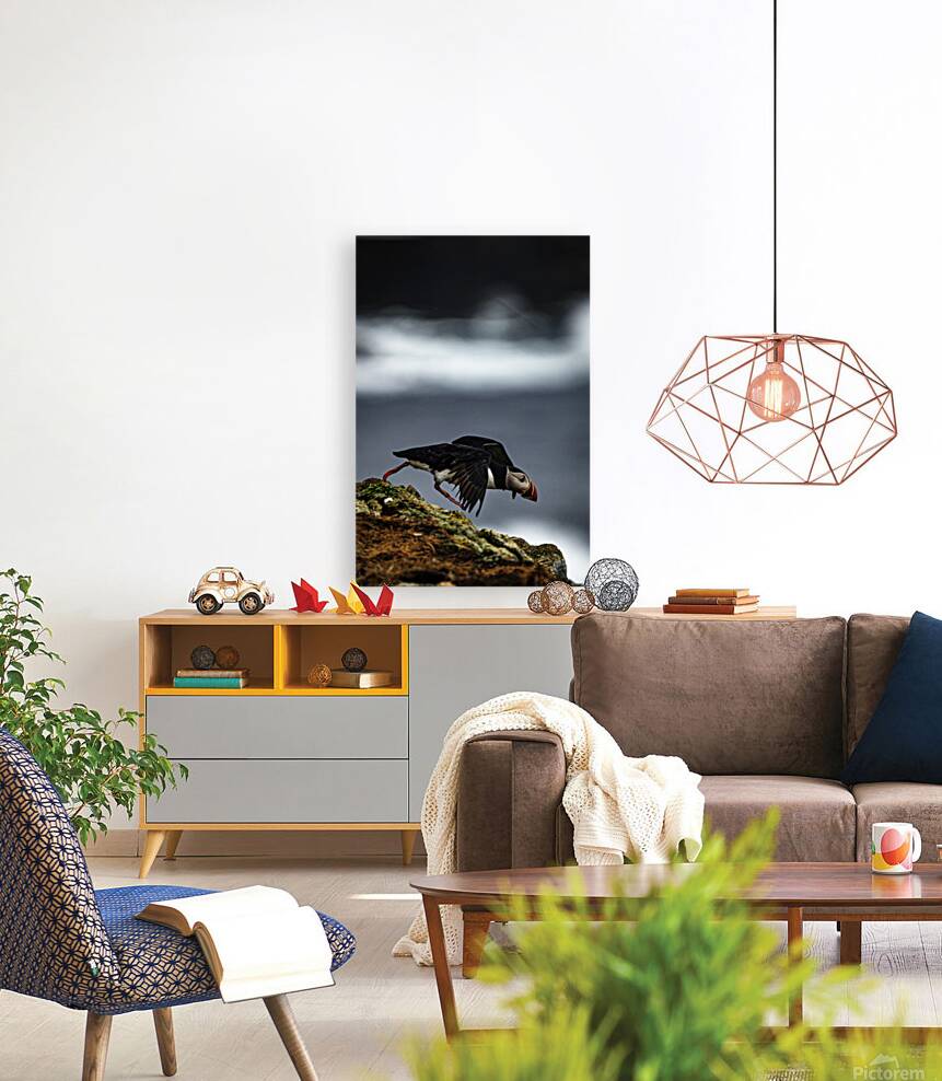 Off the Cliff it went Reproduction