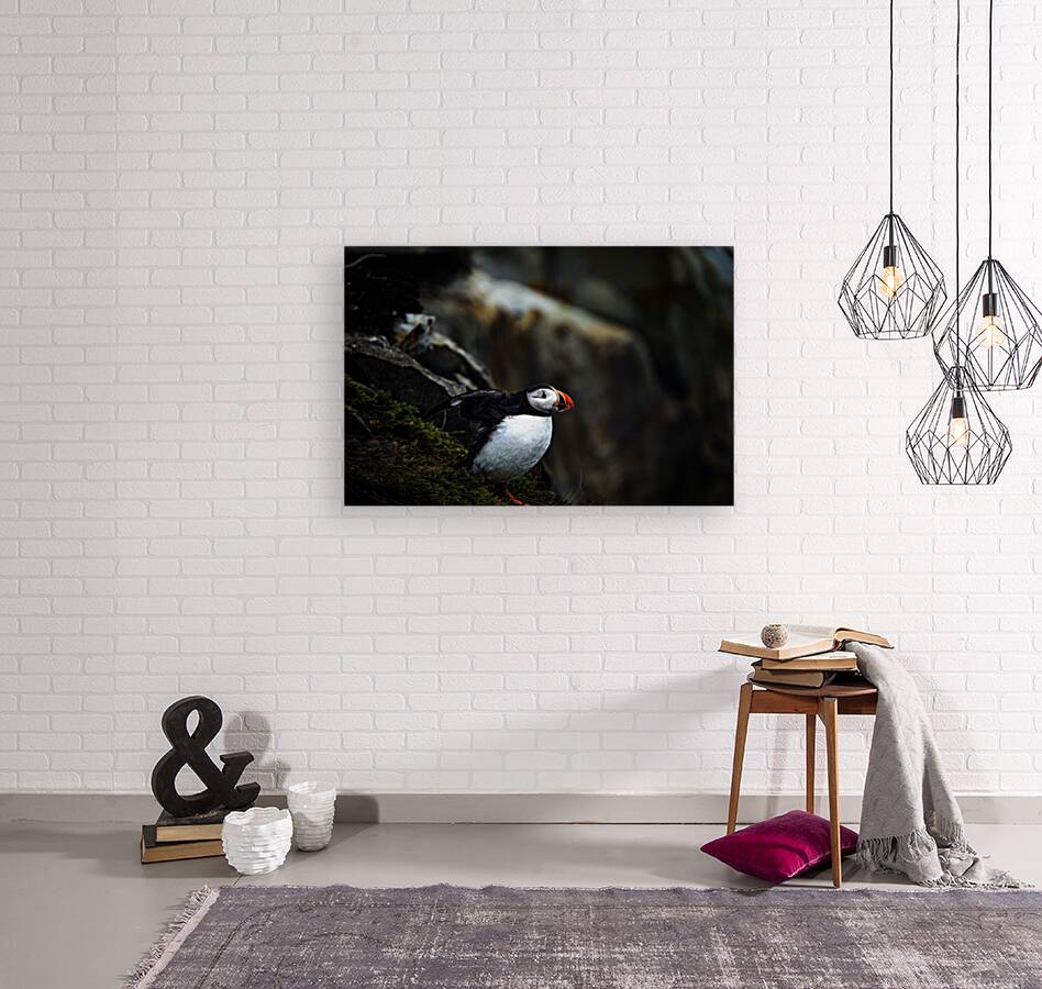 Shake the fog off Reproduction