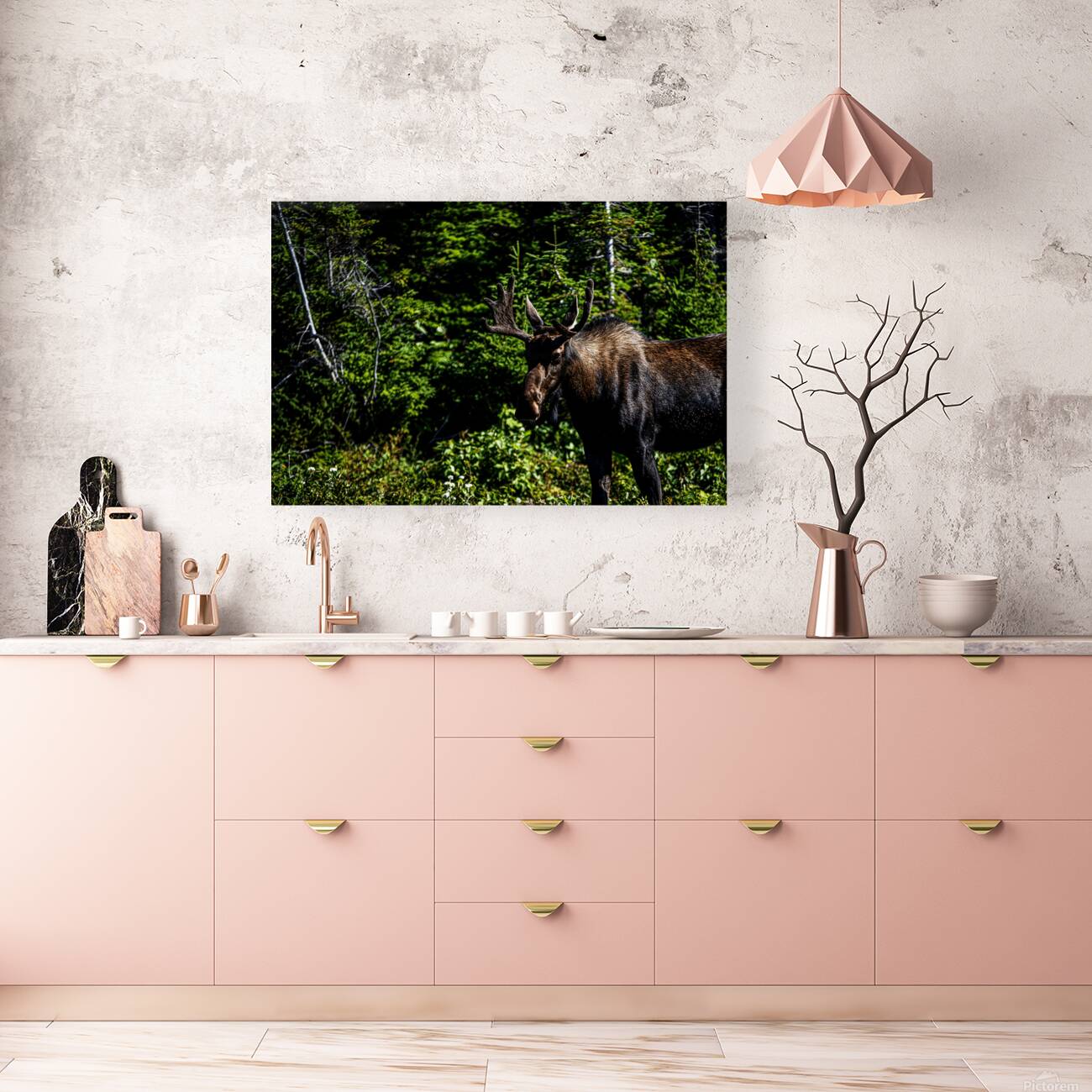 Bullwinkle I Reproduction