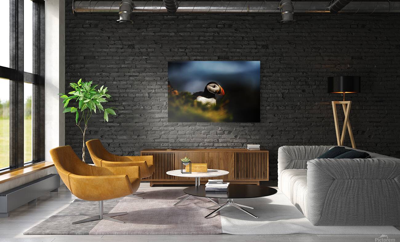 Colorful Reproduction