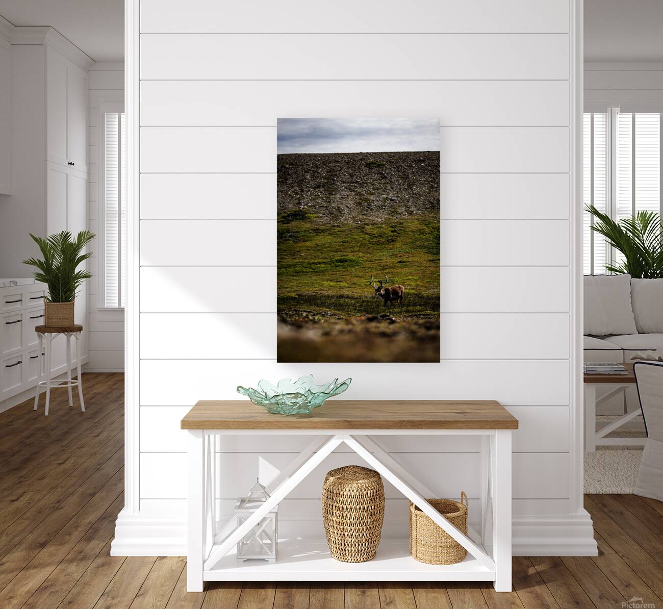 No Santa in Sight Reproduction