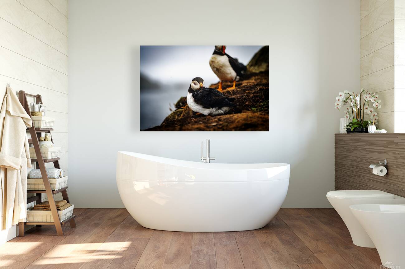 Just a little relaxation Reproduction